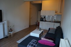 Kopie van DSC00200.JPG